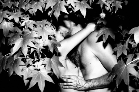 BIOPHILIA (6).jpg