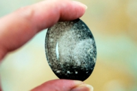 iwanaga_ws_05.jpg