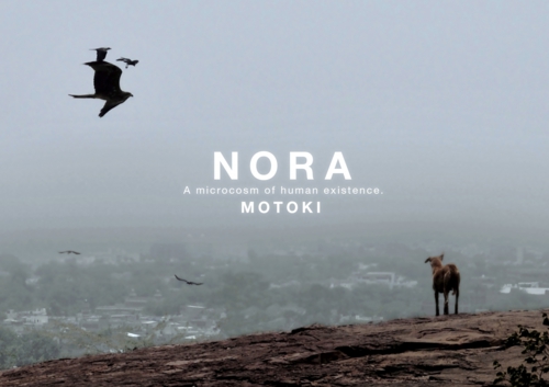 nora-1.jpg