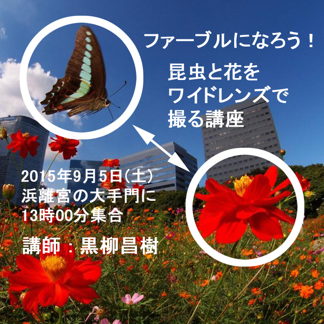 フアーブル-2.jpg